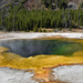 US160926 056 Yellowstone NP, WY