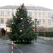 Betlehem és karácsonyfa