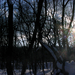 napfény a havas fák között