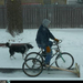snow-plow-bike