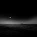 moon fields