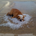 cooling-off