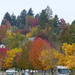 312 Oregon Fall Colors - RV-X3