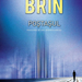 david-brin-postasul800h