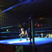 Smackdown ECW tour 140
