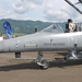 Zeltweg, Airpower 2013, L-159 ALCA, SzG3