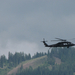 Zeltweg, Airpower 2013, S-70 Black Hawk, SzG3