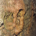 pálvölgyi barlang 24