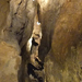 pálvölgyi barlang 31a