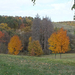 Szilvásvárad - kastélypark-őszi színek