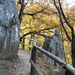 Szilvásvárad - ősemberbarlanghoz 4