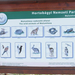 Hortobágy - szafari - vadonélő-tábl