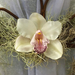 Garden-orchidea 14