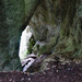 Plitvice barlang 14