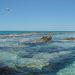 Australia 2007 -4- YANCHEP 355