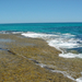 Australia 2007 -4- YANCHEP 374