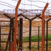 Wagah, az Indiai - Pakisztáni határátkelő - szögesdrót kerítés