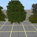 Tree test DXT1 semitransparent