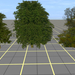 Tree test DXT3 semitransparent