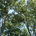 2011 jul 07 Tiszafüred Kalandpark 108