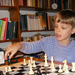 sakkozik