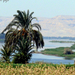 Nílus-menti táj