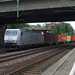 185 537 - 8 Hamburg-Harburg (2012.07.11).