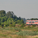 426 015 Rétszilas (2017.06.15)