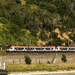 427 xxx Oberwesel (2023.06.11)04