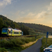 650 704 Kauerndorf (2023.06.15).