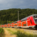 445 095 Breitenfurt (2023.06.16).