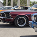 Mach1 &amp; 69' Mustang &amp; 74' Mustang