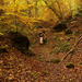 33 Páris patak völgye - őszi hangulatban