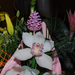 Orchidea és toboz