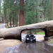 Sequoia NatPark, CA