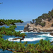 Hwy 1, Point Lobos