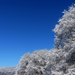 21 Novemberi tél a Medvesen