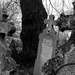 08 Somoskői temető