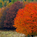 16 Őszi színek