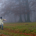 02 A titokzatos vándor a ködös bükkös szélén 2013 őszén