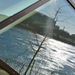 A Duna tükörképe