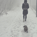Ködös téli séta