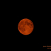 Hold, a Vörös Hold estéjén
