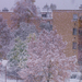 téli képek, színes havas kép Besztercén
