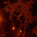 Besztercei képek, a Medves körút esti fényei