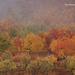 őszi képek, színes reggel a Karancsban