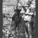 Salgótarján régen, állatkert a Dolinkában 1950.