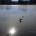 Besztercei képek, csendesedő tó