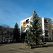 Besztercei képek, karácsonyfa a téren