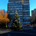 Besztercei képek, új téren új karácsonyfa